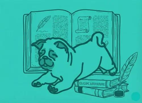 Grade 11 ELA course hero image