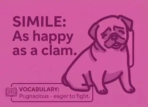 Grade 5 ELA course hero image