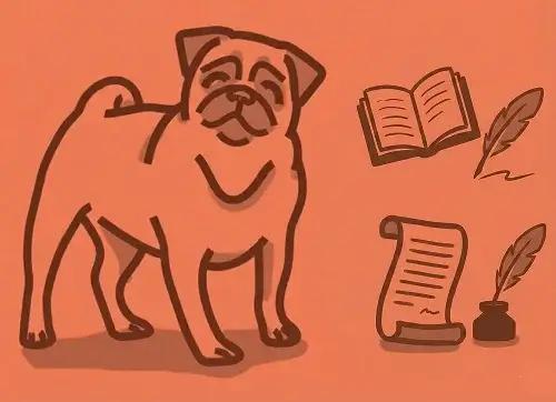 12th Grade ELA course hero image