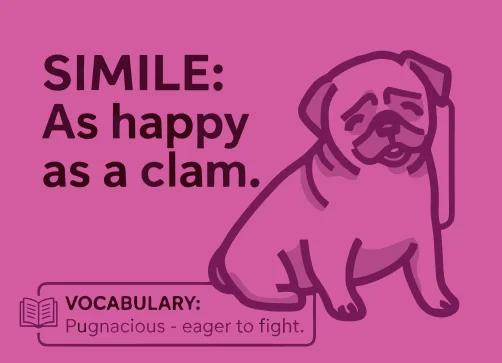 5th Grade ELA course hero image