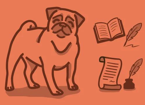 12th Grade ELA course hero image