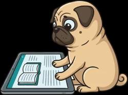 Rounding numbers – Read Material