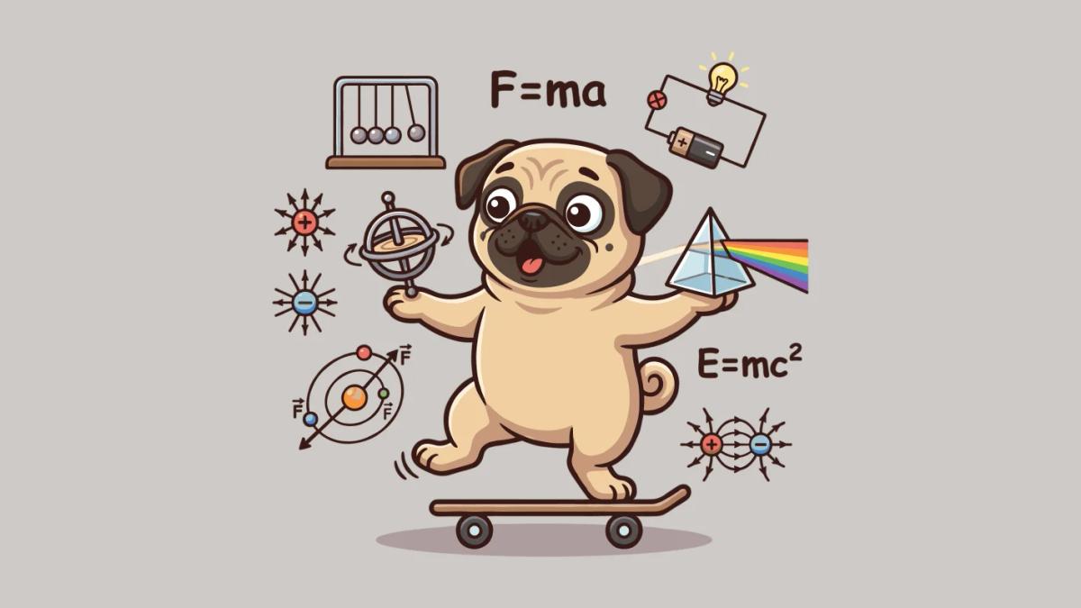 Physics essentials