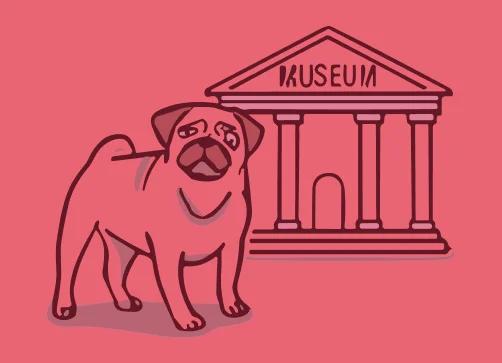 Political Studies 12 course hero image