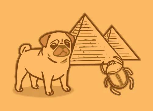 Grade 2 course hero image