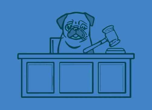 Grade 6 course hero image