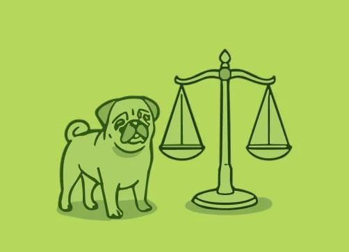 Grade 7 course hero image