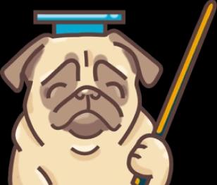 pug teacher image