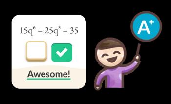 Instant Feedback Loop