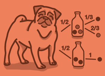 header-pug-ati-teas-6