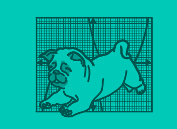 Grade Eleven Math Help Logo