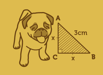 Grade Eight Math Help Logo