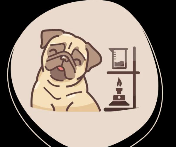 pug