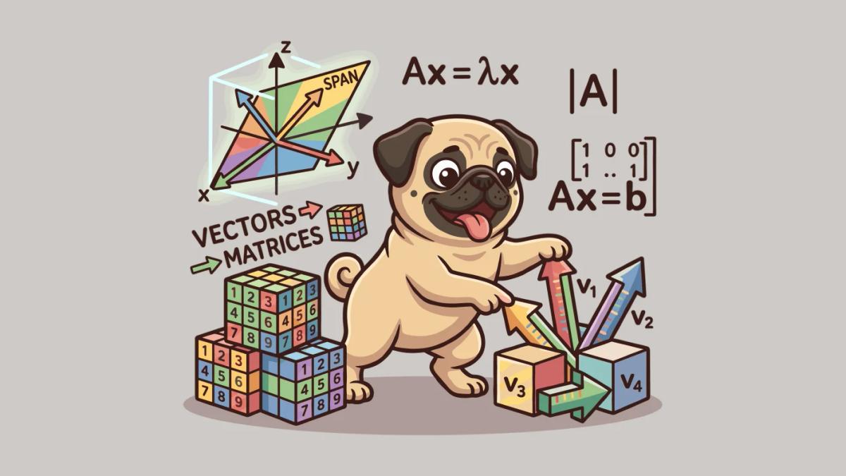 Master Linear Algebra