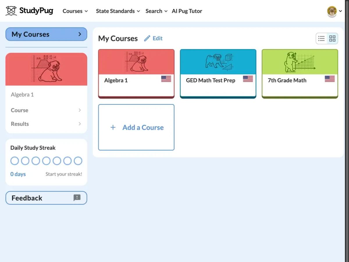 usage insights dashboard