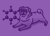Organic Chemistry course hero image