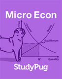 Microeconomics