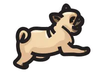 pug running