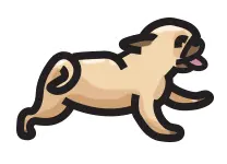 pug running