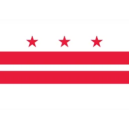 dc flag
