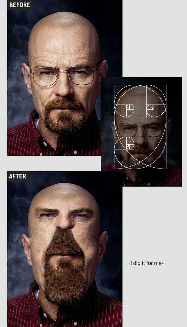 Portrait of Brian Cranston, before and after conforming to the Golden Ratio/Fibonacci Spiral, Picture Credits: Igor Kochmala